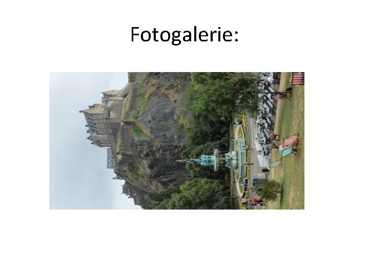 Fotogalerie: 