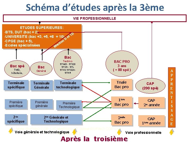 Schéma d’études après la 3ème VIE PROFESSIONNELLE ETUDES SUPERIEURES: -BTS, DUT (bac + 2)