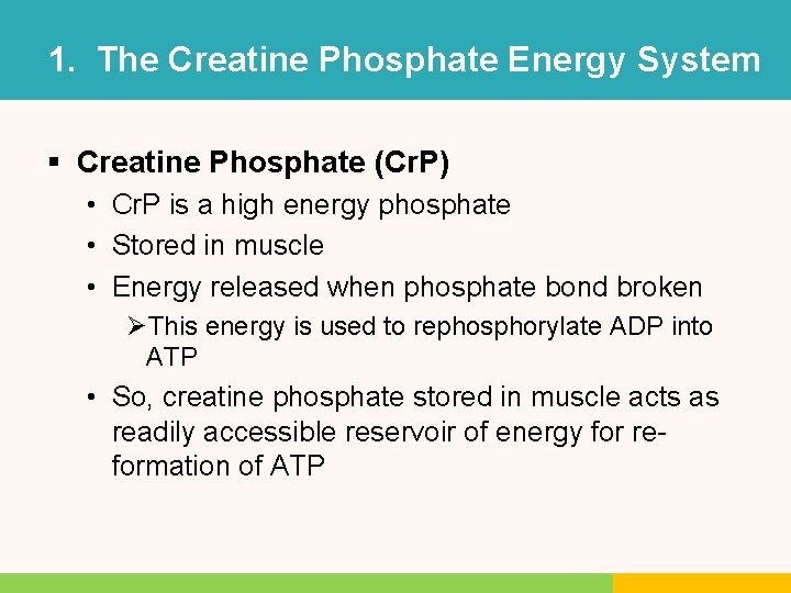 1. The Creatine Phosphate Energy System § Creatine Phosphate (Cr. P) • Cr. P 1. The Creatine Phosphate Energy System § Creatine Phosphate (Cr. P) • Cr. P