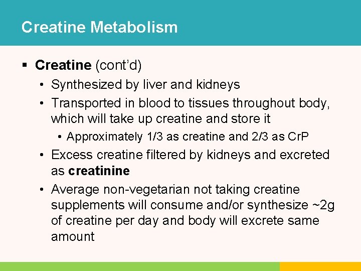 Creatine Metabolism § Creatine (cont’d) • Synthesized by liver and kidneys • Transported in Creatine Metabolism § Creatine (cont’d) • Synthesized by liver and kidneys • Transported in