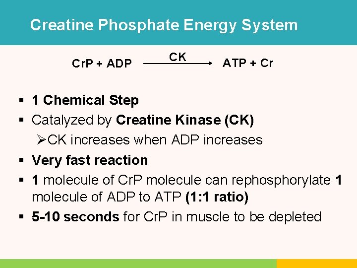 Creatine Phosphate Energy System Cr. P + ADP CK ATP + Cr § 1 Creatine Phosphate Energy System Cr. P + ADP CK ATP + Cr § 1