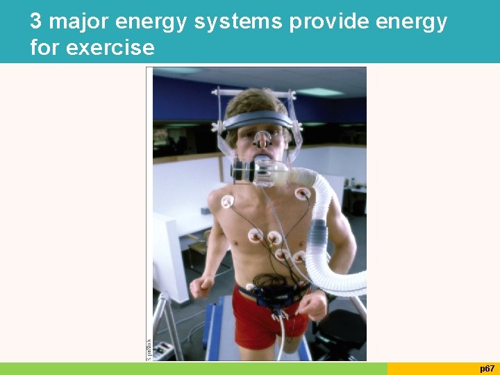 3 major energy systems provide energy for exercise p 67 3 major energy systems provide energy for exercise p 67
