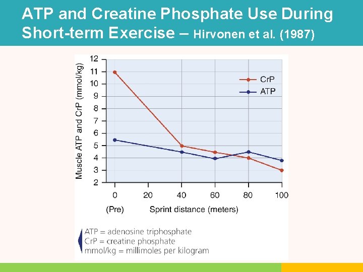 ATP and Creatine Phosphate Use During Short-term Exercise – Hirvonen et al. (1987) ATP and Creatine Phosphate Use During Short-term Exercise – Hirvonen et al. (1987)