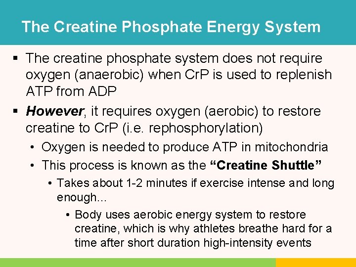 The Creatine Phosphate Energy System § The creatine phosphate system does not require oxygen The Creatine Phosphate Energy System § The creatine phosphate system does not require oxygen