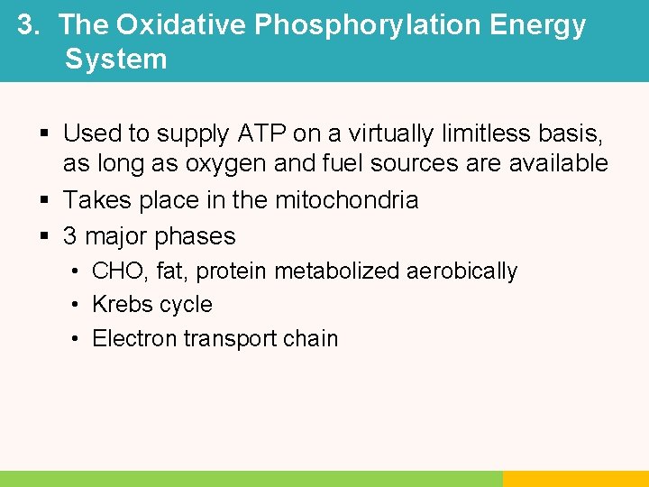 3. The Oxidative Phosphorylation Energy System § Used to supply ATP on a virtually 3. The Oxidative Phosphorylation Energy System § Used to supply ATP on a virtually