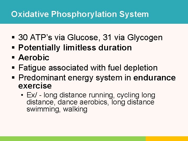 Oxidative Phosphorylation System § § § 30 ATP’s via Glucose, 31 via Glycogen Potentially Oxidative Phosphorylation System § § § 30 ATP’s via Glucose, 31 via Glycogen Potentially