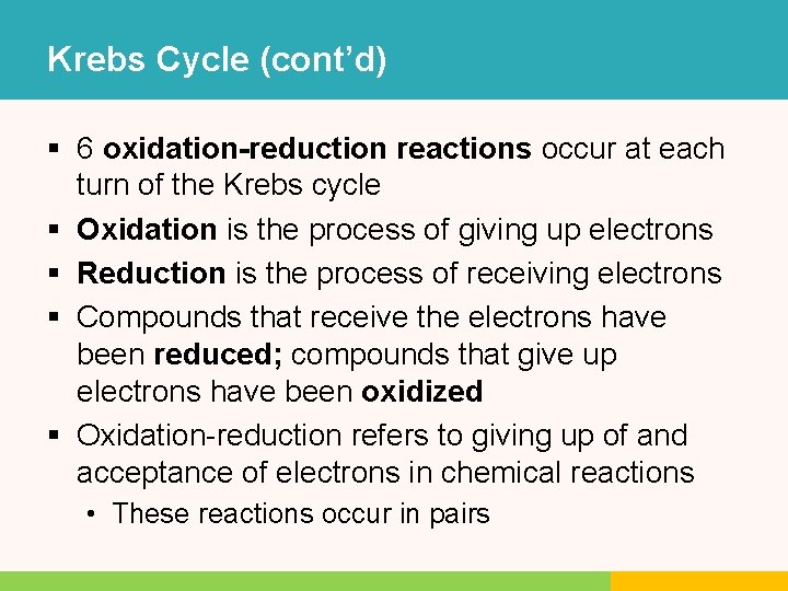 Krebs Cycle (cont’d) § 6 oxidation-reduction reactions occur at each turn of the Krebs Krebs Cycle (cont’d) § 6 oxidation-reduction reactions occur at each turn of the Krebs