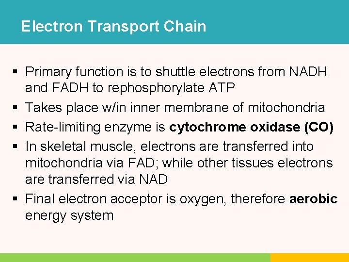Electron Transport Chain § Primary function is to shuttle electrons from NADH and FADH Electron Transport Chain § Primary function is to shuttle electrons from NADH and FADH