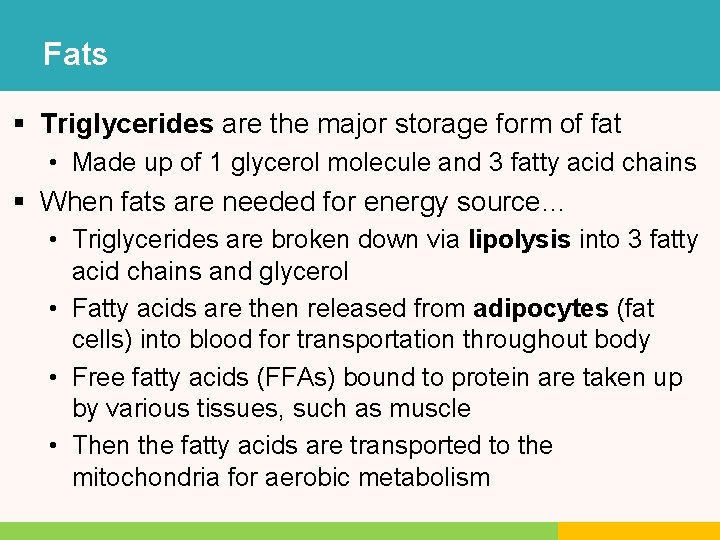 Fats § Triglycerides are the major storage form of fat • Made up of Fats § Triglycerides are the major storage form of fat • Made up of