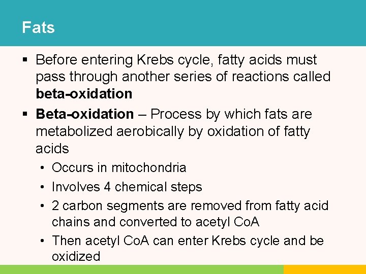 Fats § Before entering Krebs cycle, fatty acids must pass through another series of Fats § Before entering Krebs cycle, fatty acids must pass through another series of