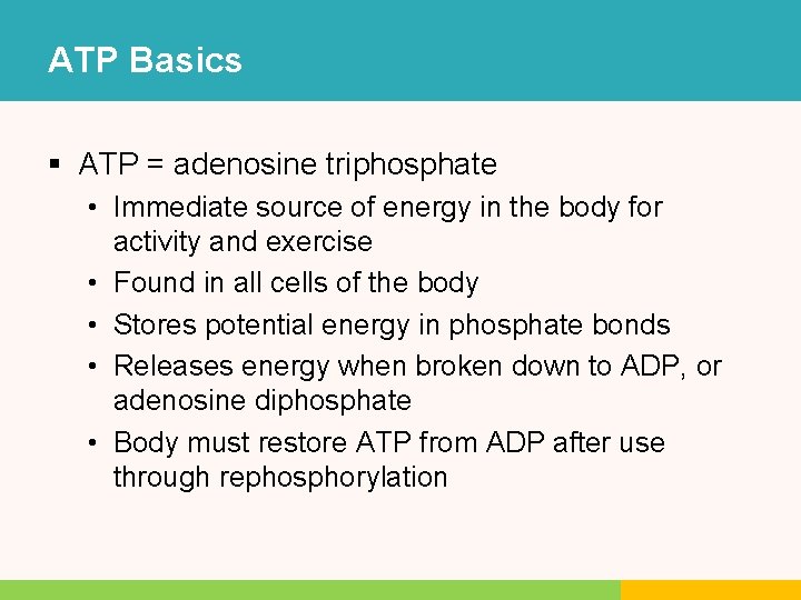 ATP Basics § ATP = adenosine triphosphate • Immediate source of energy in the ATP Basics § ATP = adenosine triphosphate • Immediate source of energy in the