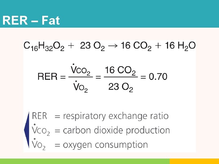 RER – Fat RER – Fat