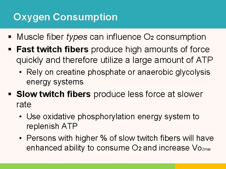 Oxygen Consumption § Muscle fiber types can influence O 2 consumption § Fast twitch Oxygen Consumption § Muscle fiber types can influence O 2 consumption § Fast twitch