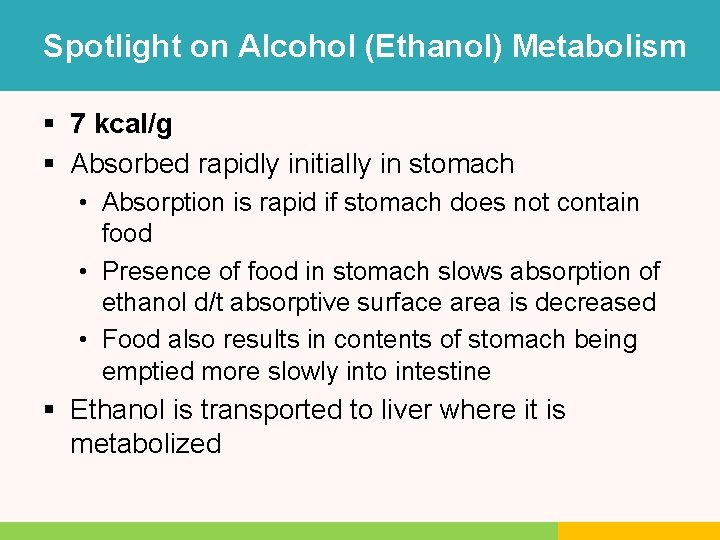 Spotlight on Alcohol (Ethanol) Metabolism § 7 kcal/g § Absorbed rapidly initially in stomach Spotlight on Alcohol (Ethanol) Metabolism § 7 kcal/g § Absorbed rapidly initially in stomach