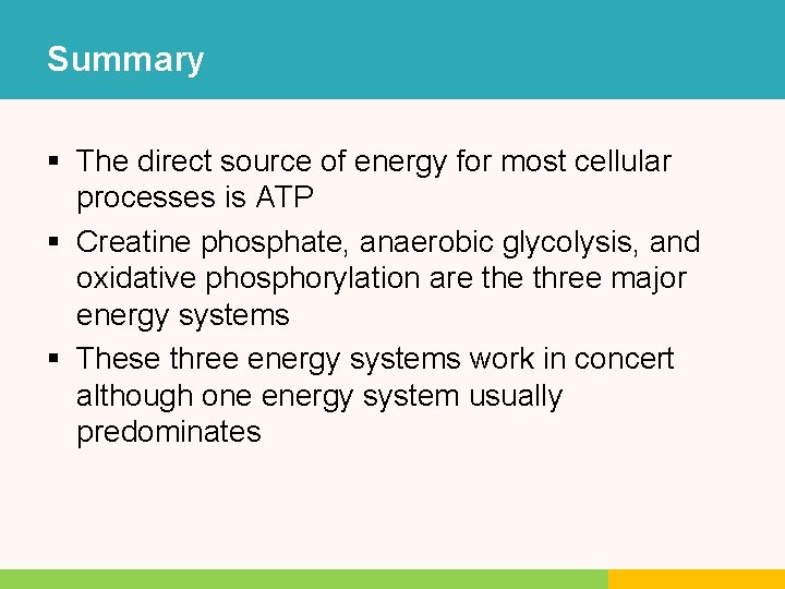 Summary § The direct source of energy for most cellular processes is ATP § Summary § The direct source of energy for most cellular processes is ATP §