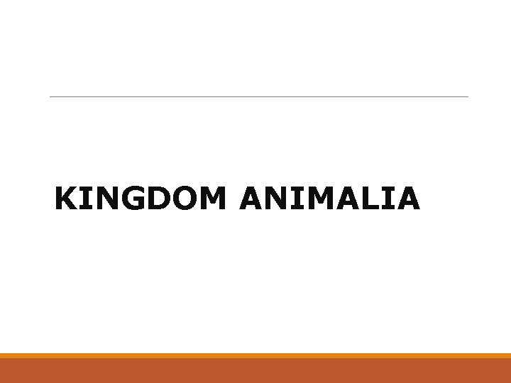 KINGDOM ANIMALIA 
