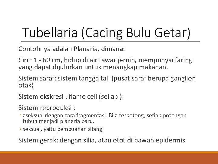 Tubellaria (Cacing Bulu Getar) Contohnya adalah Planaria, dimana: Ciri : 1 - 60 cm,