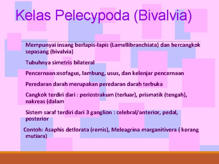 Kelas Pelecypoda (Bivalvia) Mempunyai insang berlapis-lapis (Lamellibranchiata) dan bercangkok sepasang (bivalvia) Tubuhnya simetris bilateral
