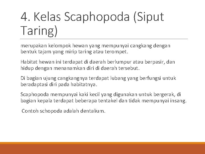 4. Kelas Scaphopoda (Siput Taring) merupakan kelompok hewan yang mempunyai cangkang dengan bentuk tajam