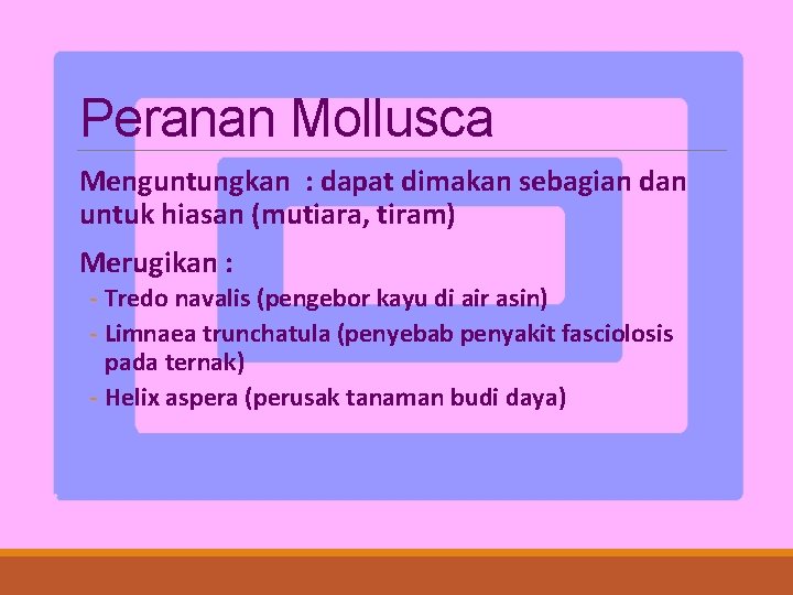 Peranan Mollusca Menguntungkan : dapat dimakan sebagian dan untuk hiasan (mutiara, tiram) Merugikan :
