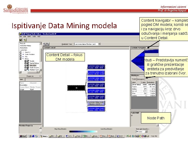 Informacioni sistemi Prof. dr Angelina Njeguš Ispitivanje Data Mining modela Content Detail – fokus