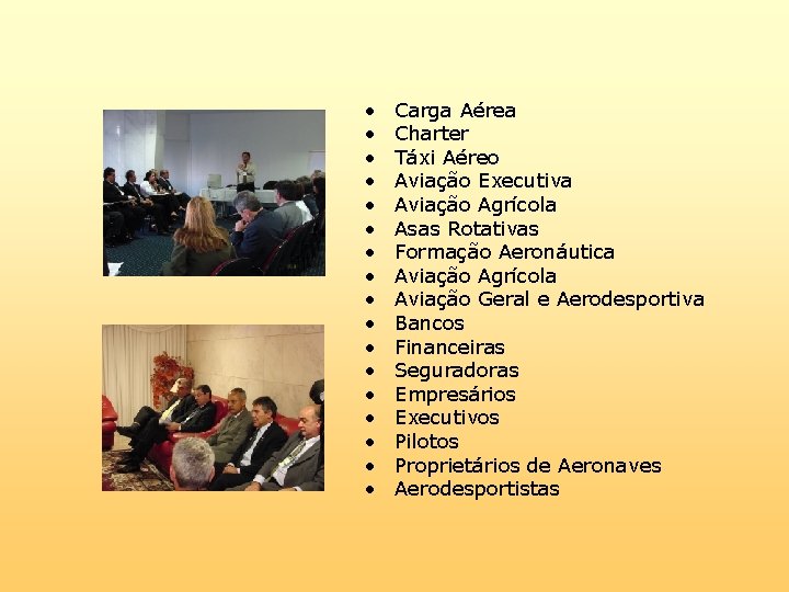  • • • • • Carga Aérea Charter Táxi Aéreo Aviação Executiva Aviação