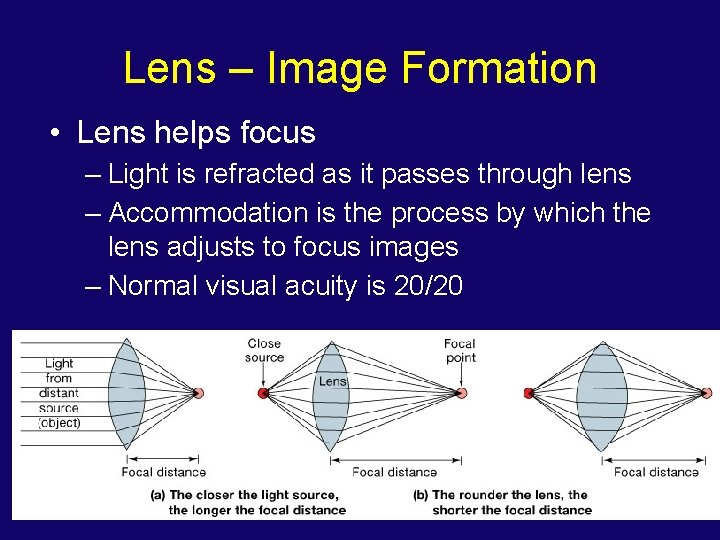 Lens – Image Formation • Lens helps focus – Light is refracted as it