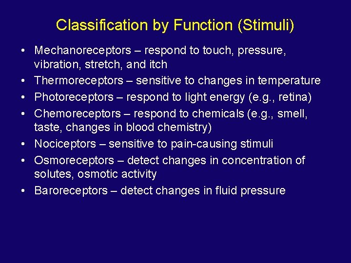 Classification by Function (Stimuli) • Mechanoreceptors – respond to touch, pressure, vibration, stretch, and