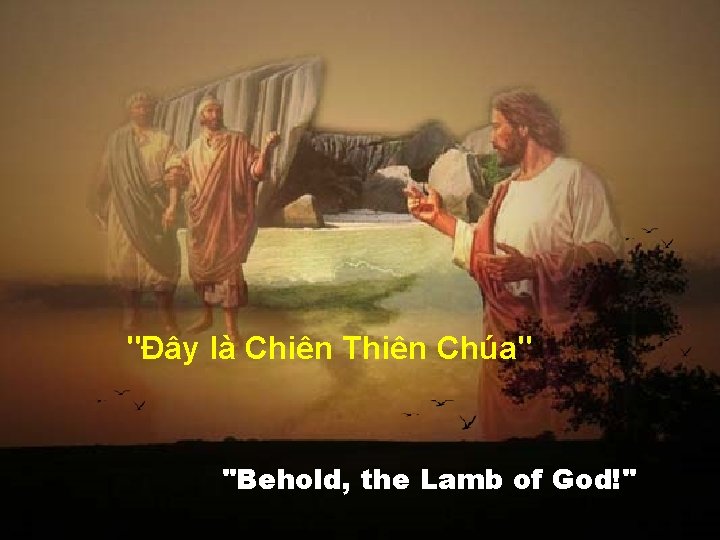 "Đây là Chiên Thiên Chúa" "Behold, the Lamb of God!" 