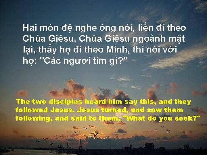 Hai môn đệ nghe ông nói, liền đi theo Chúa Giêsu ngoảnh mặt lại,