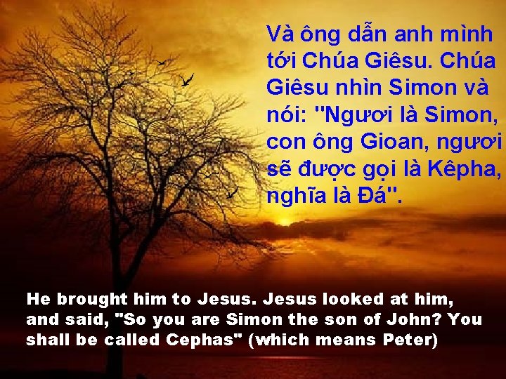 Và ông dẫn anh mình tới Chúa Giêsu nhìn Simon và nói: "Ngươi là