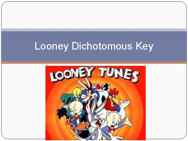 Looney Dichotomous Key 