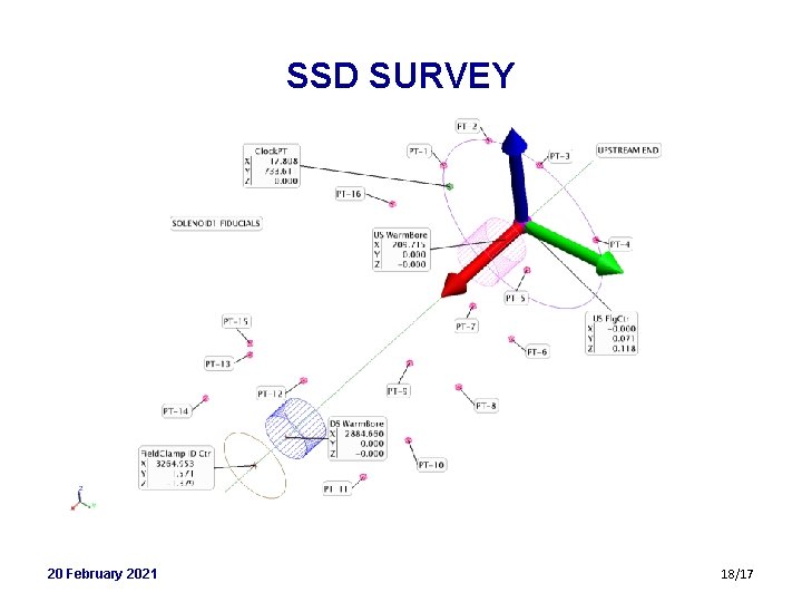 SSD SURVEY 20 February 2021 18/17 