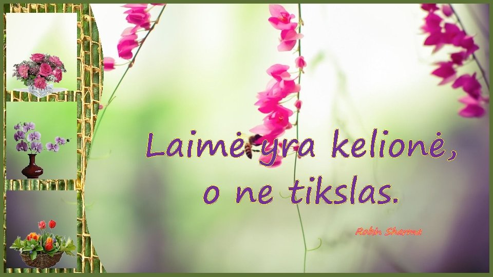 Laimė yra kelionė, o ne tikslas. Robin Sharma 