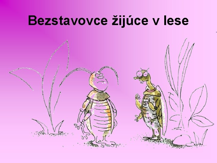 Bezstavovce žijúce v lese 