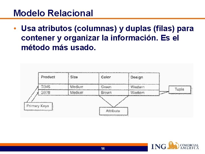 Modelo Relacional • Usa atributos (columnas) y duplas (filas) para contener y organizar la