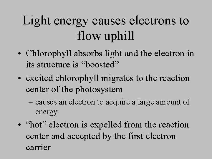Light energy causes electrons to flow uphill • Chlorophyll absorbs light and the electron