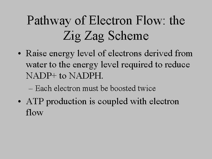 Pathway of Electron Flow: the Zig Zag Scheme • Raise energy level of electrons