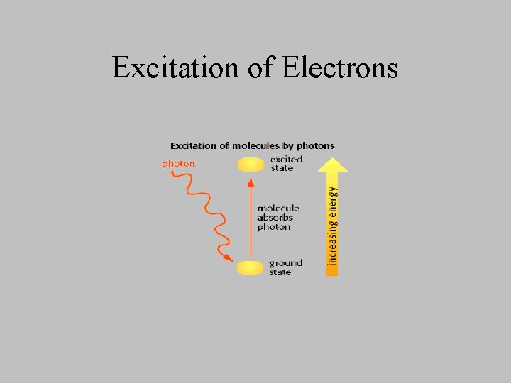 Excitation of Electrons 
