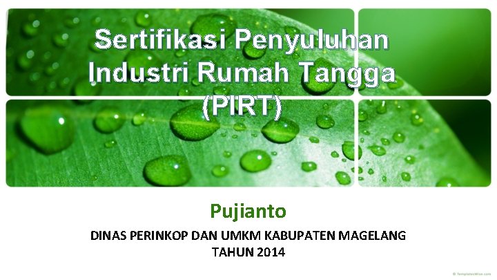 Sertifikasi Penyuluhan Industri Rumah Tangga (PIRT) Pujianto DINAS PERINKOP DAN UMKM KABUPATEN MAGELANG TAHUN