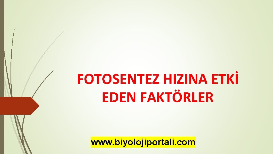 FOTOSENTEZ HIZINA ETKİ EDEN FAKTÖRLER www. biyolojiportali. com 