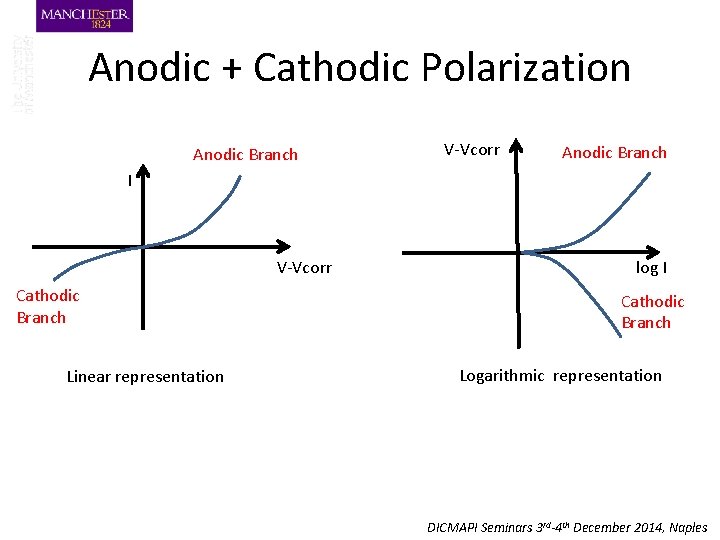 Anodic + Cathodic Polarization Anodic Branch V-Vcorr Anodic Branch I V-Vcorr Cathodic Branch Linear