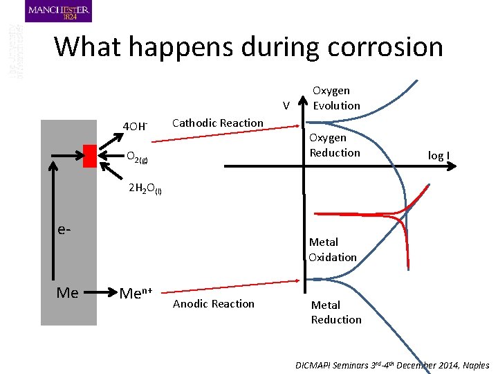 What happens during corrosion V 4 OH- Cathodic Reaction O 2(g) Oxygen Evolution Oxygen