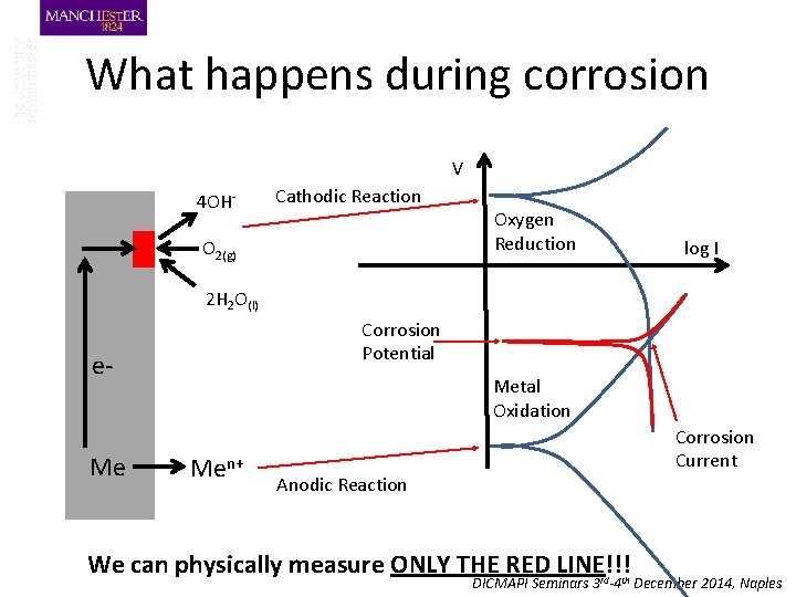 What happens during corrosion V 4 OH- Cathodic Reaction O 2(g) Oxygen Reduction log