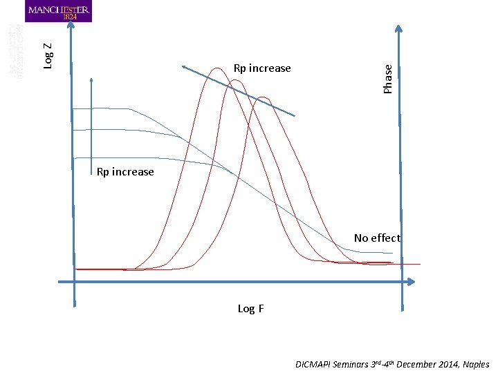 Phase Log Z Rp increase No effect Log F DICMAPI Seminars 3 rd-4 th