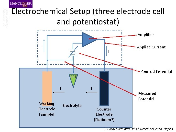 Electrochemical Setup (three electrode cell and potentiostat) Amplifier I I Control Potential REF I