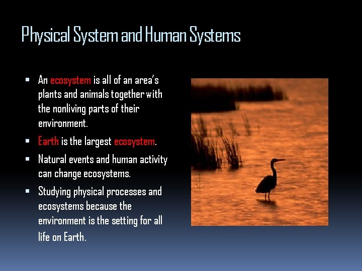 Physical System and Human Systems An ecosystem is all of an area’s plants and