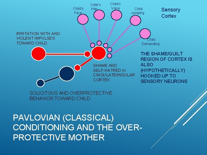 Child’s Face Child’s Hair Child’s Voice Child Jumping IRRITATION WITH AND VIOLENT IMPULSES TOWARD
