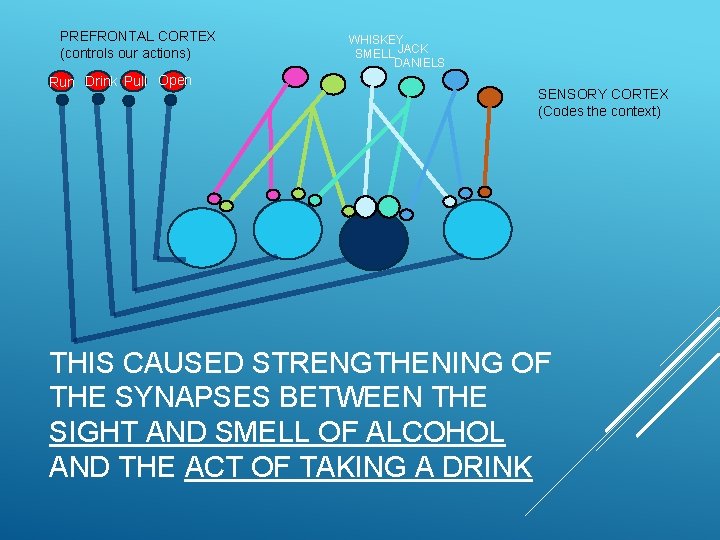 PREFRONTAL CORTEX (controls our actions) Run Drink Pull Open WHISKEY SMELL JACK DANIELS SENSORY