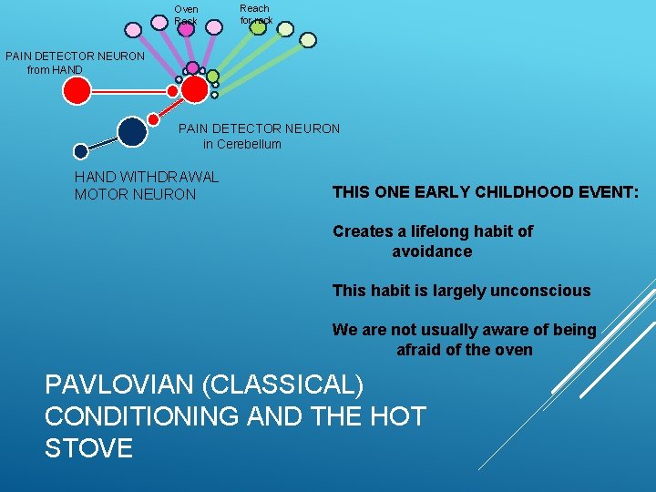 Oven Rack Reach for rack PAIN DETECTOR NEURON from HAND PAIN DETECTOR NEURON in